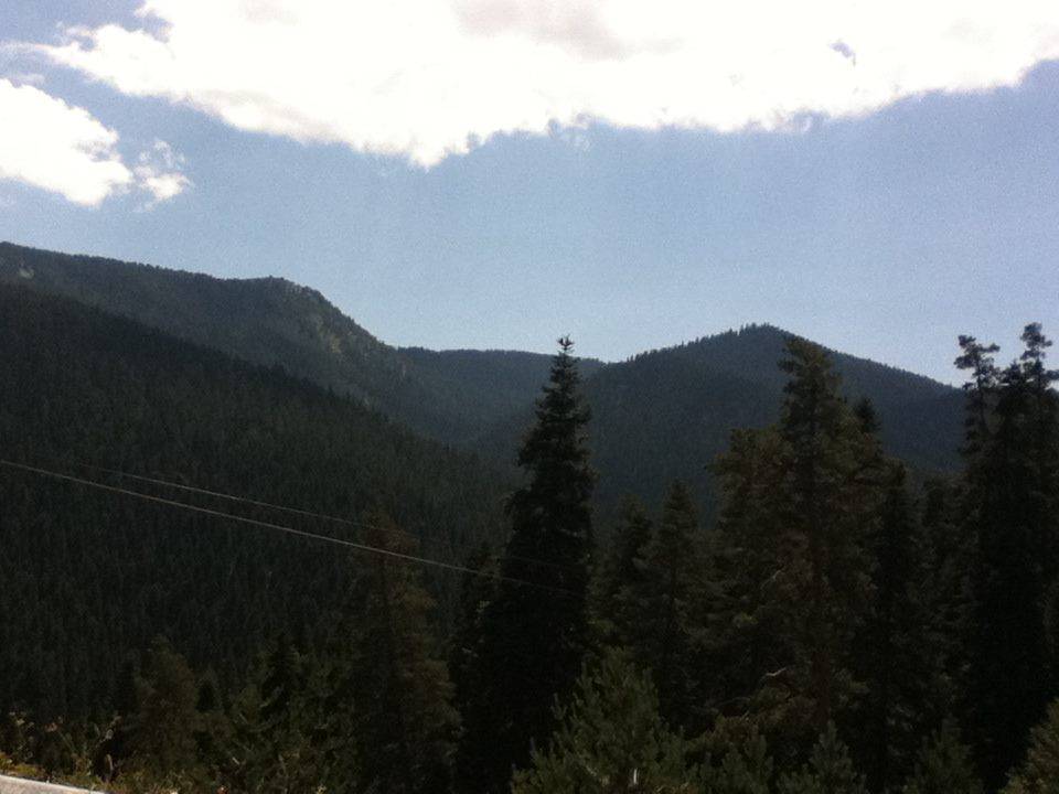 Mountains covered with forests